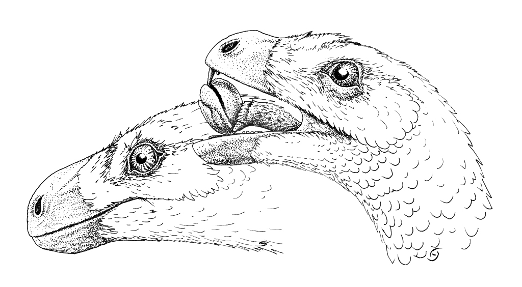 Illustration of two duck-billed dinosaurs nuzzling each other, conveying affection. Detailed texture on scales, expressive eyes. Black and white line drawing.