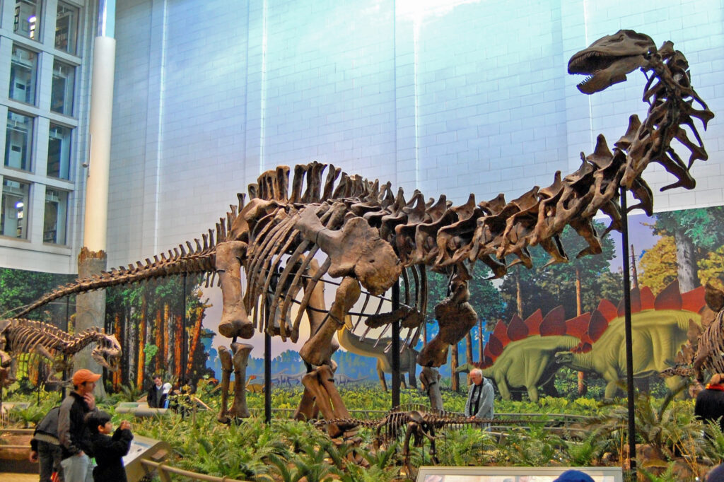 Dinosaur skeleton exhibit in a museum with a large sauropod displayed prominently. Visitors observe the fossils; a mural of prehistoric forest is in the background.