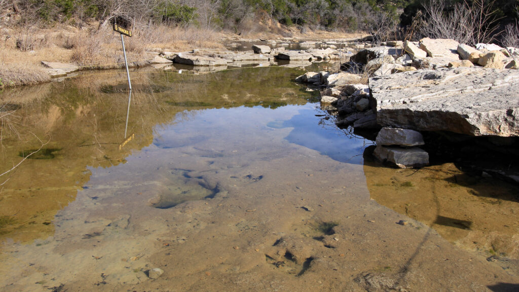 Clear shallow water of a rocky stream reflecting blue sky and trees. A partially submerged sign reads "TRACKS," creating a tranquil, natural scene.