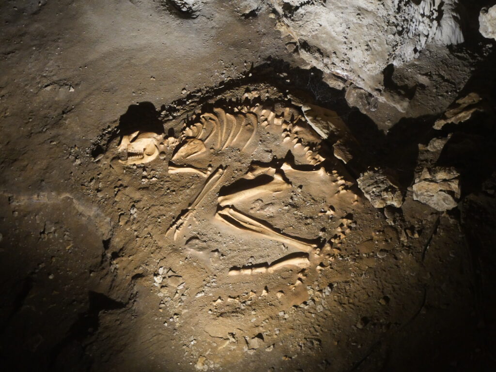 Buried skeletal remains in a dimly lit cave, surrounded by rocky soil. The atmosphere is mysterious and historical, evoking a sense of discovery.