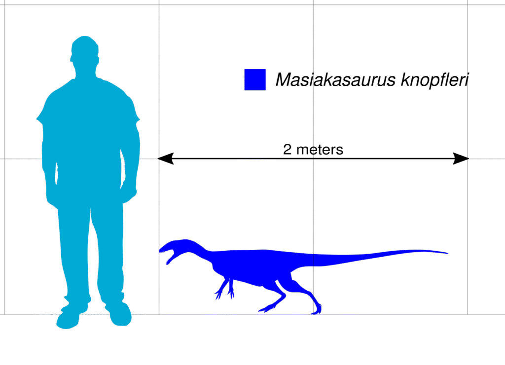 Silhouette comparison of a human figure and the dinosaur Masiakasaurus knappfleri. The dinosaur is about half the height of the human, with text noting "2 meters."