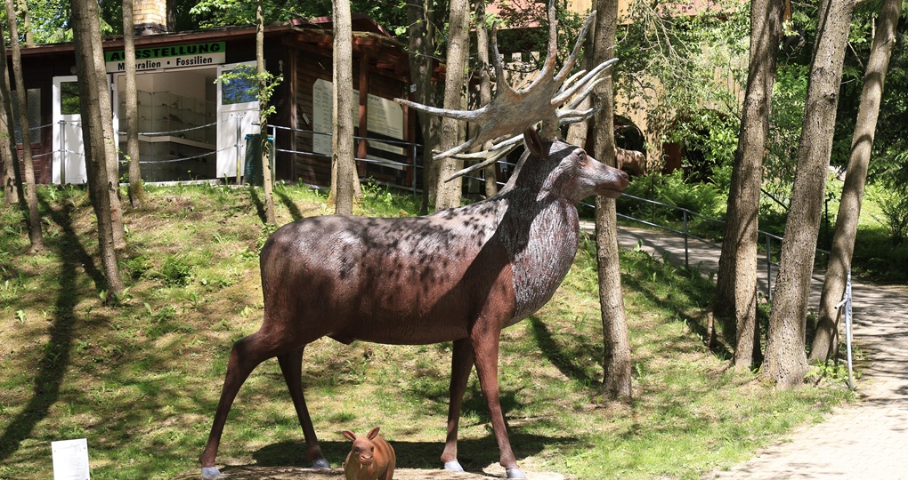 Megaloceros The Irish Elk