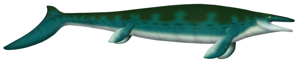 Illustration of a Dinosaurus, a prehistoric marine reptile with a long body, four flippers, and a large tail. It has a dark green back and white underbelly, with a row of sharp teeth visible, giving a sense of ancient power.