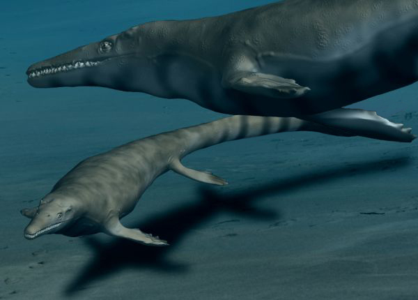 Digital illustration of two prehistoric aquatic creatures swimming underwater. The larger creature is in the background, and the smaller one in the foreground.