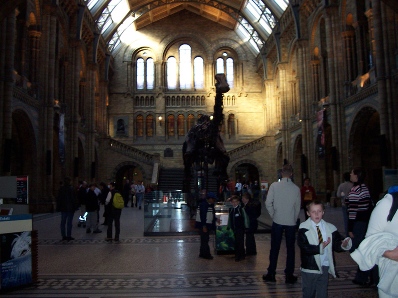 A large, well-lit museum hall with high arched windows and a dinosaur skeleton centerpiece. Visitors, including children, are scattered around, creating a lively atmosphere.