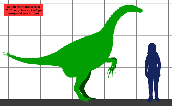 Nothronychus