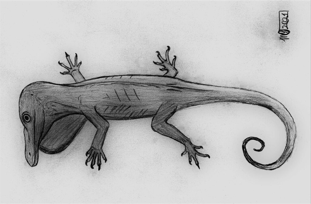 Sketch of a Oculudentavis on a light background. It has textured skin, detailed eyes, and a curled tail. Its limbs are spread, creating a sense of movement.