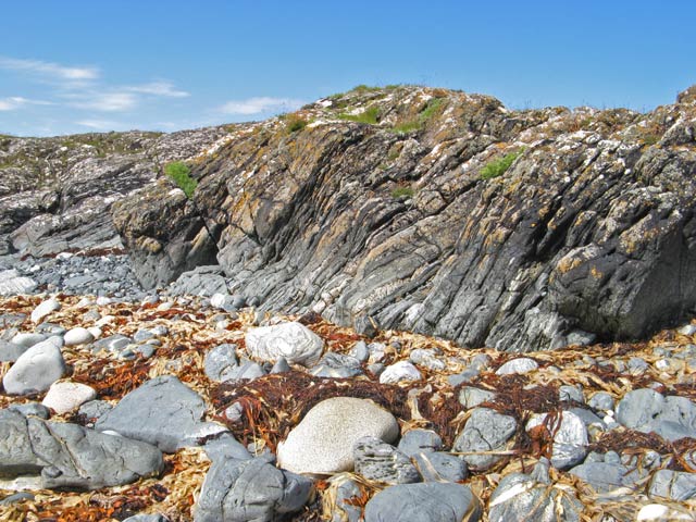 Ordovician metasediments
