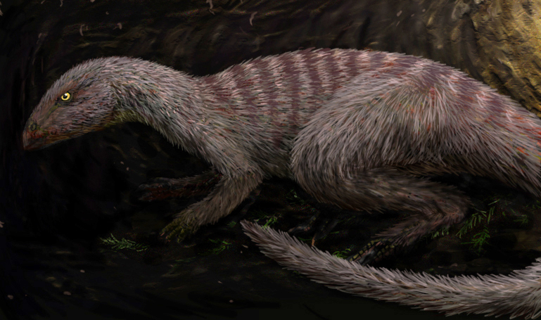 Oryctodromeus in its burrow