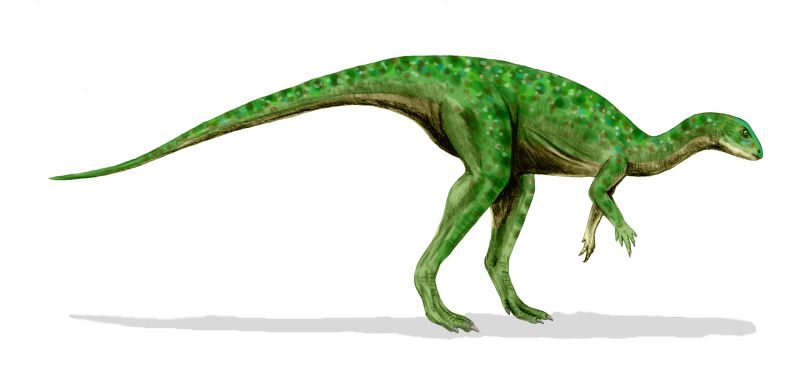 Othnielosaurus
