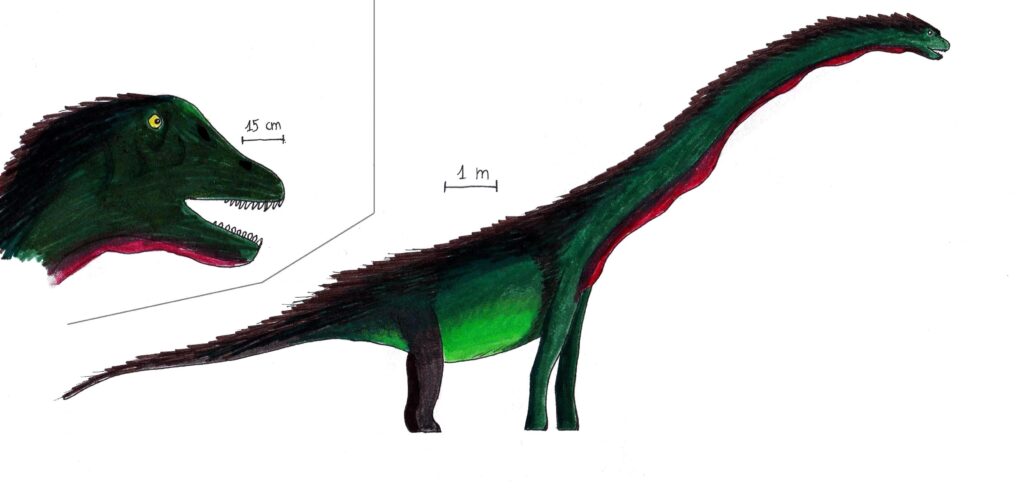 Illustration of a long-necked dinosaur in dark green tones with a red underbelly and spiky back. Inset shows a close-up of its head with sharp teeth.