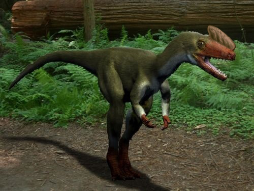 Proceratosaurus