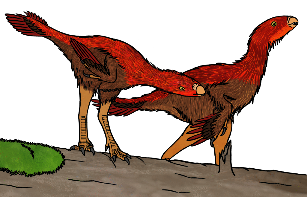 Two feathered dinosaurs with red and brown plumage, long tails, and alert expressions stand on a rocky surface, with a patch of green foliage nearby.
