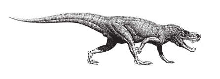 Postosuchus kirkpatricki,