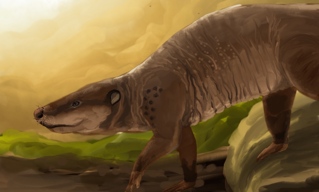 Repenomamus in the Context of Mammalian Evolution
