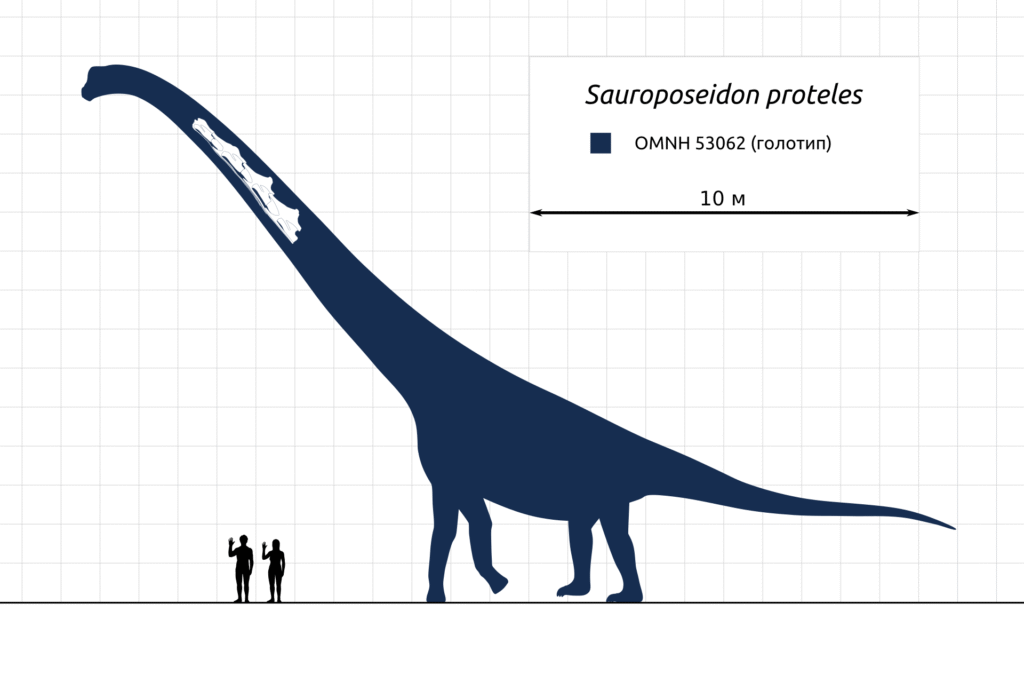 Silhouette of a giant Sauroposeidon proteles dinosaur next to two human figures for scale. The dinosaur's neck is highlighted with vertebrae details.