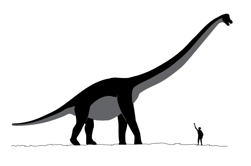Silhouette of a massive dinosaur with a long neck and tail next to a small human figure raising an arm. Emphasizes scale and grandeur.
