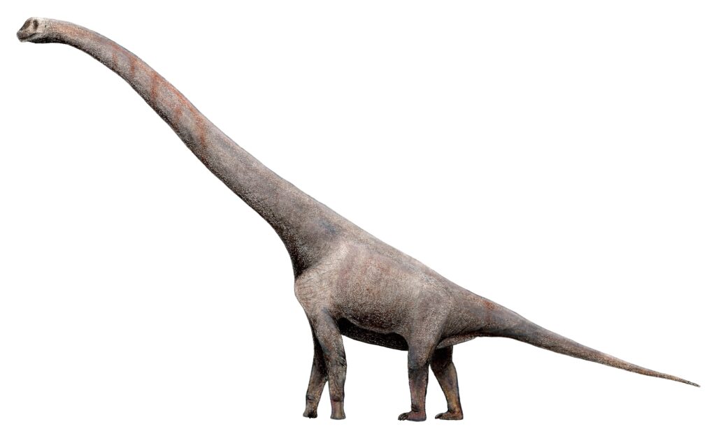 A long-necked sauropod dinosaur with a massive body, small head, and tapering tail stands on four legs, evoking a sense of ancient grandeur.