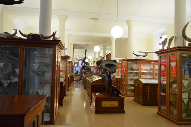 Sedgwick Museum