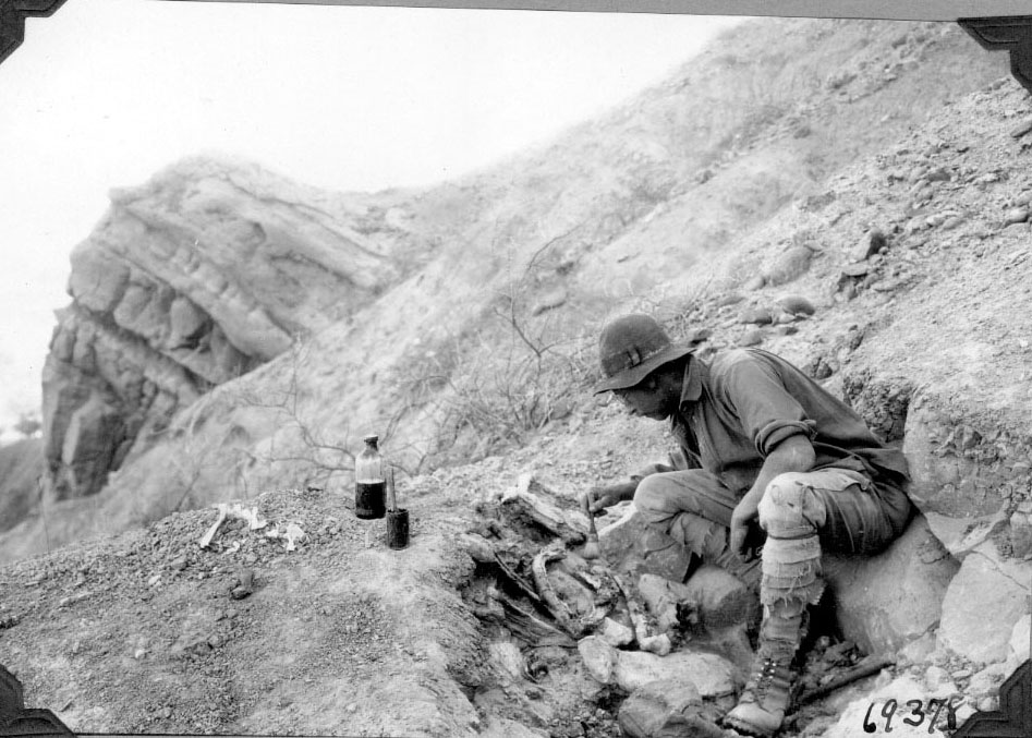 Dr. Rudolf Stahlecker at Alitoxodon lowest fossil bearing horizon, Pliocene. Excavation. 1926.