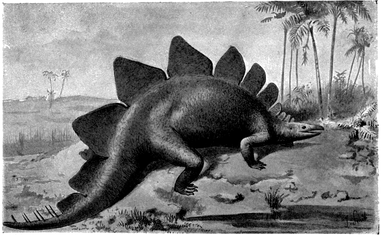 Depiction of Stegosaurus from Hutchinson, H. N. (1893)