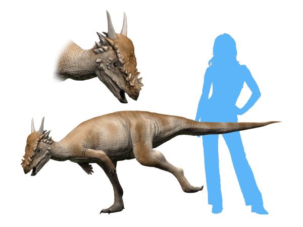 Silhouette of a human next to a Centrosaurus dinosaur for size comparison. The dinosaur has spiked horns and a textured brown skin.