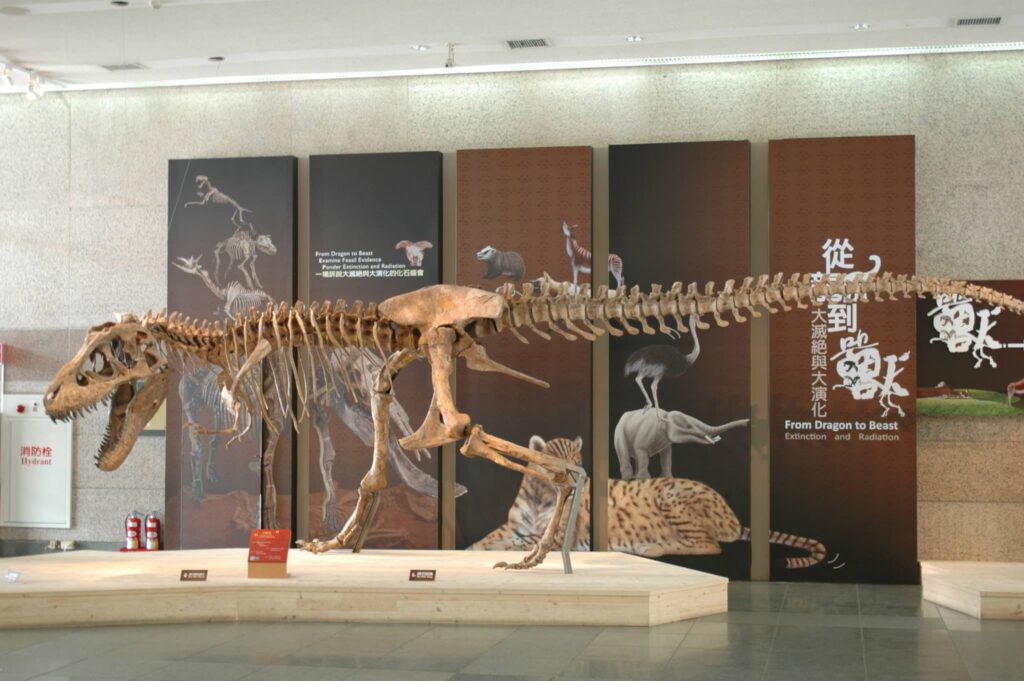 Exhibit of a large dinosaur skeleton on display in a museum. Background features informational panels with images of prehistoric animals.