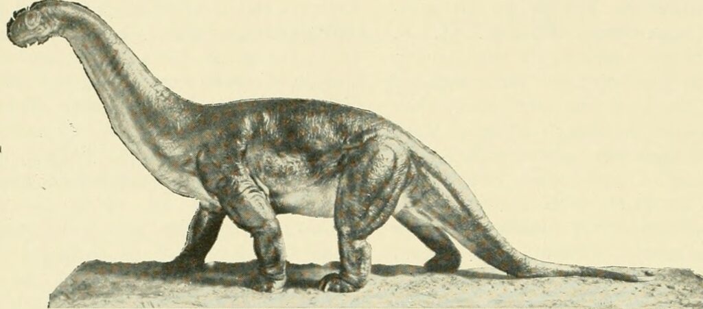 Illustration of a dinosaur, possibly a Brachiosaurus, with a long neck and tail, standing on four legs. The tone is neutral with a beige background.