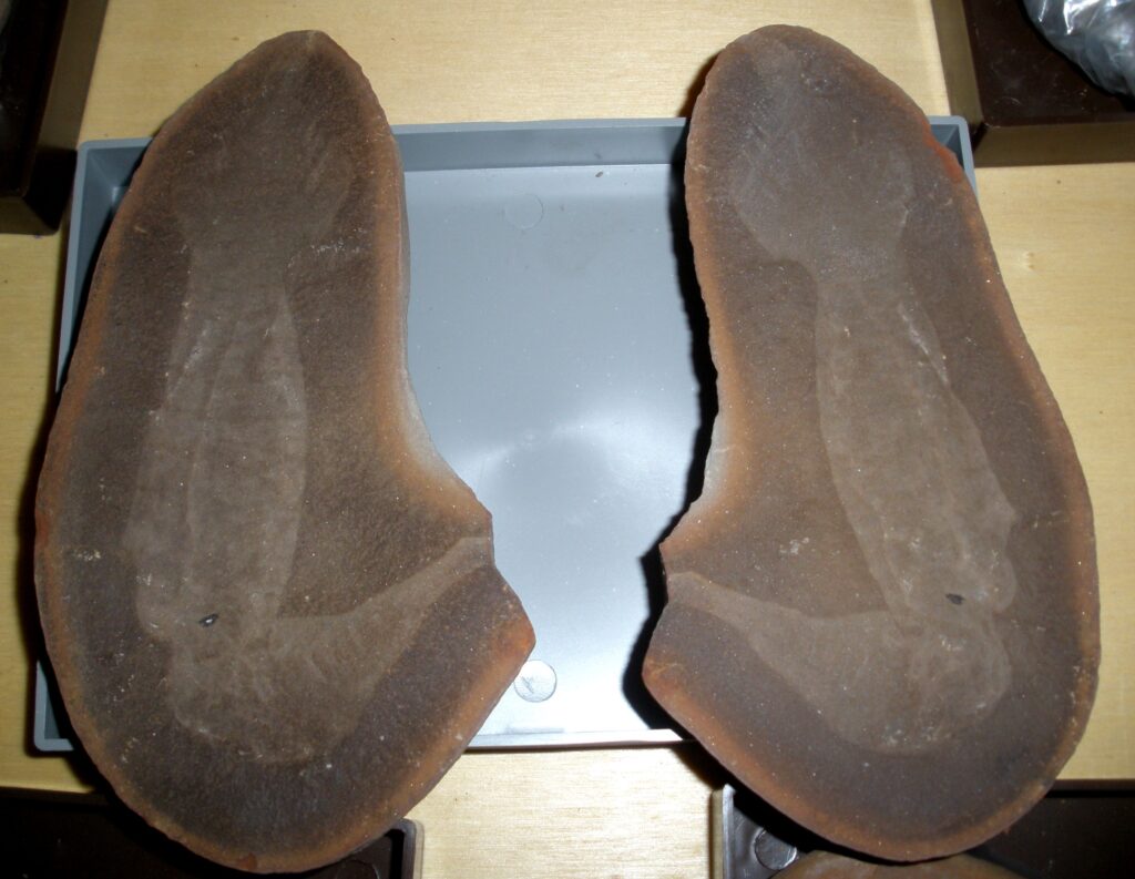 Two large, smooth, dark brown fish molds on a gray tray. Their textures are subtly varied, creating an earthy, natural appearance.