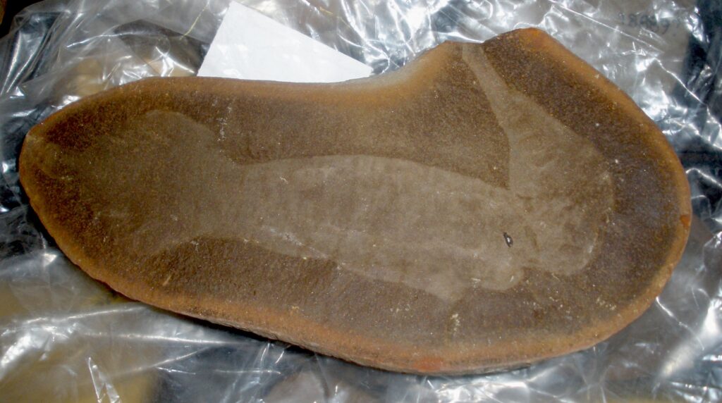 A brown fossil slab showing a fish imprint, with visible details of its shape. The slab rests on crumpled, translucent plastic, creating a textured backdrop.