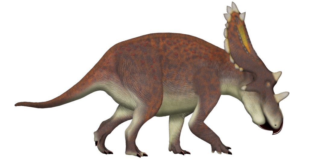 Illustration of a dinosaur with a large frilled head and horns, featuring a textured brown and gray body. The stance is calm and natural, evoking a prehistoric era.