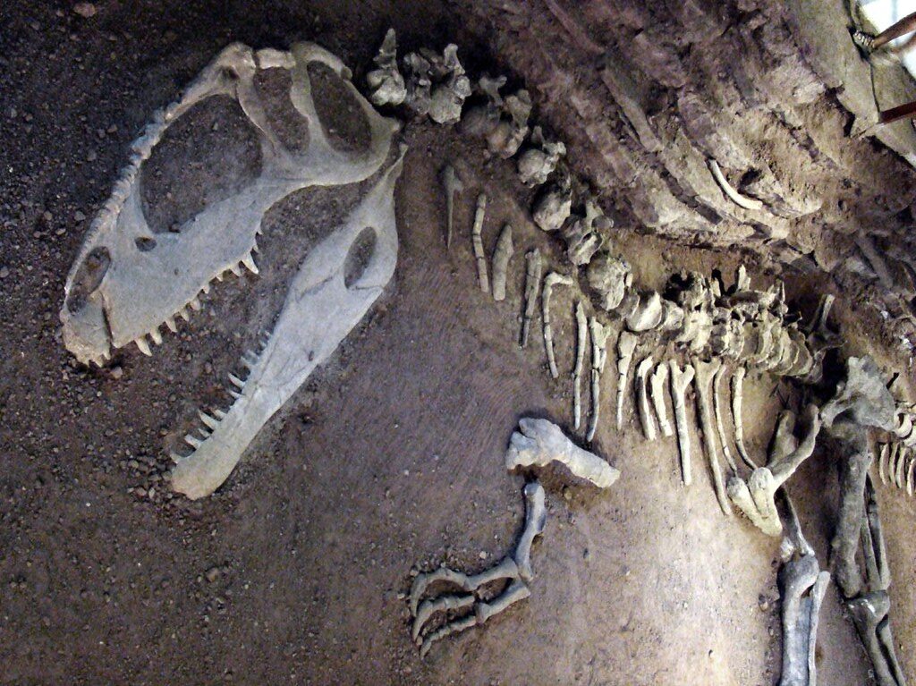 dinosaur museum reconstructions