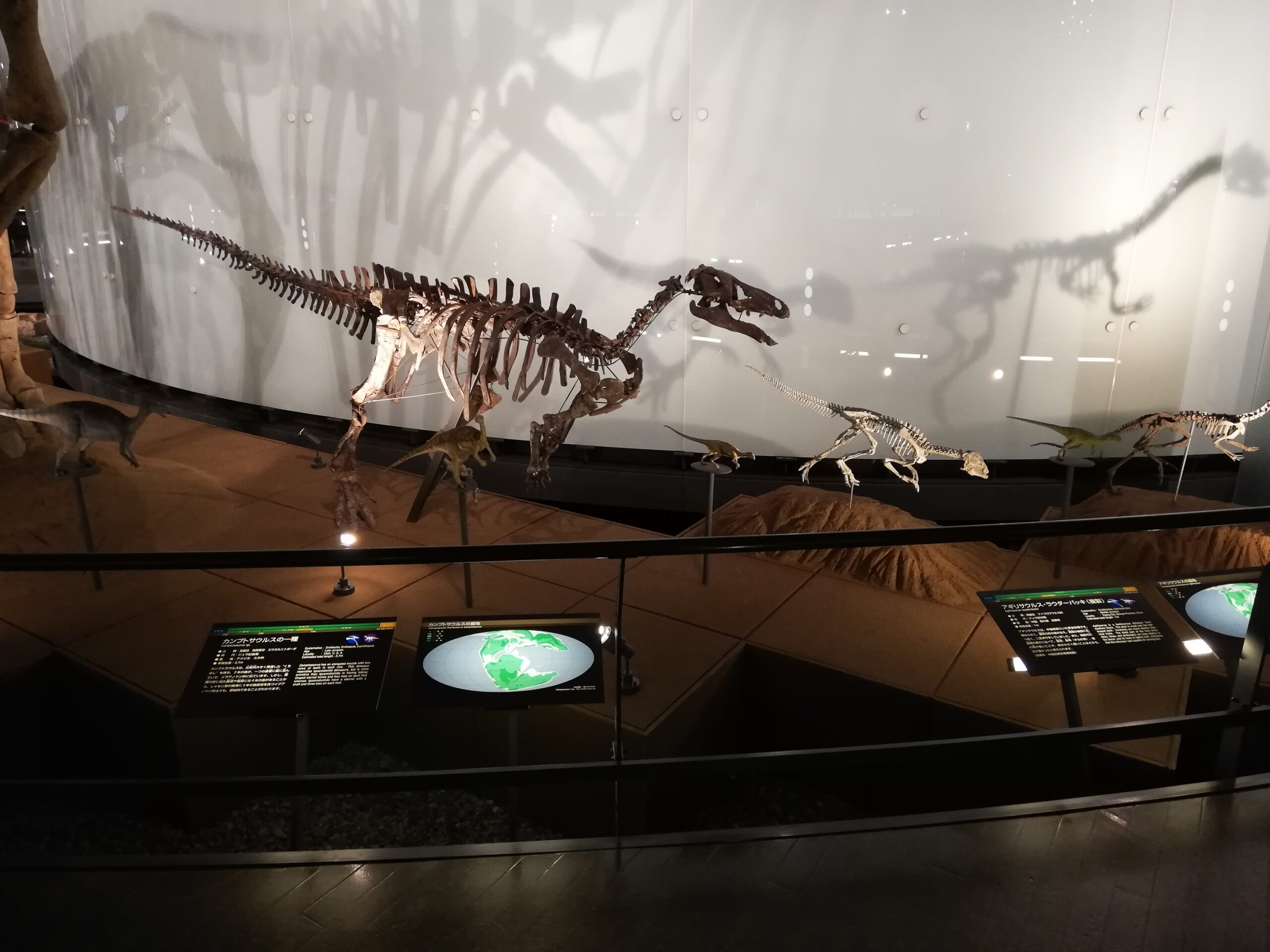 Fukui Prefectural Dinosaur Museum
