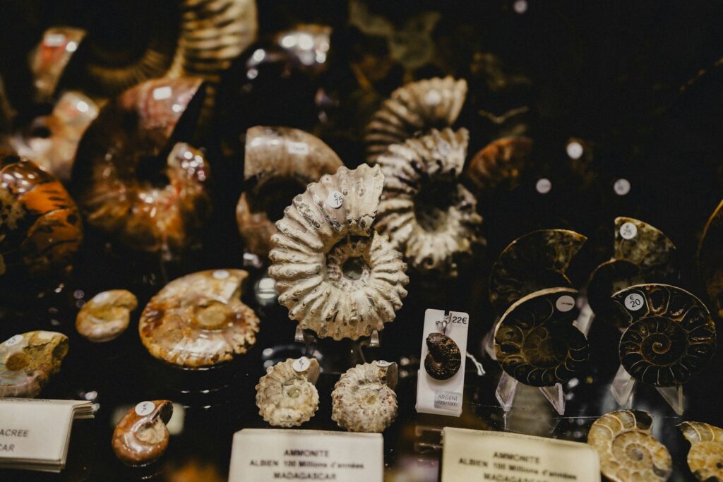 A bunch of different types of food on a table