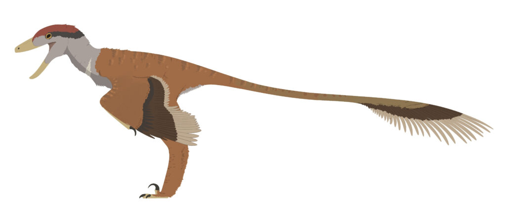 reconstruction