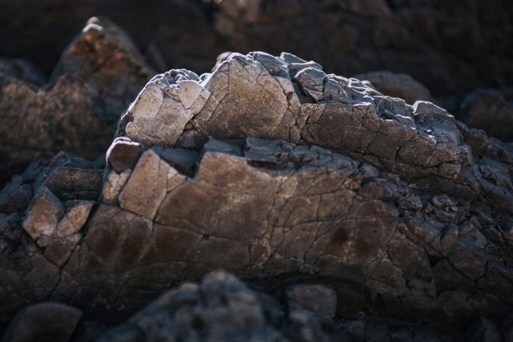 a bird is perched on a rock formation