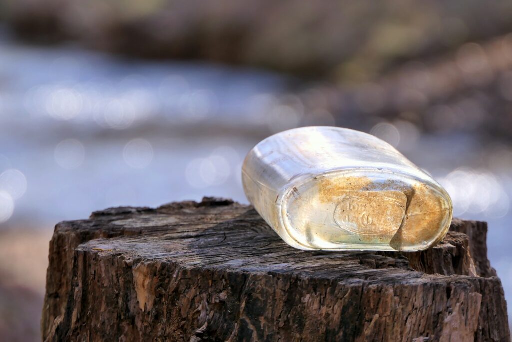 a glass bottle sitting on top of a tree stump
