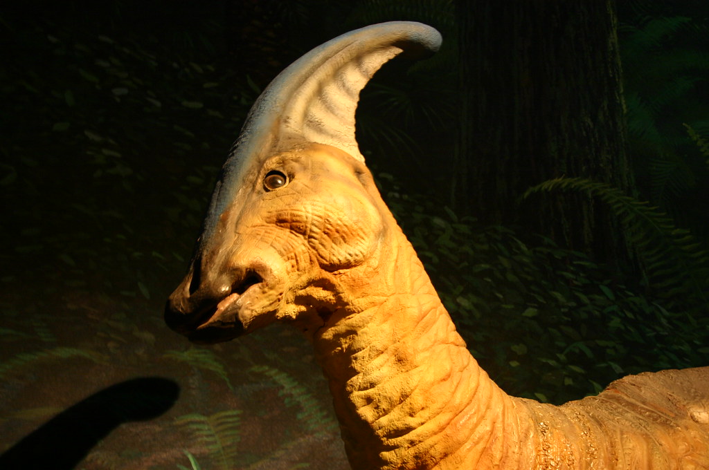 Parasaurolophus