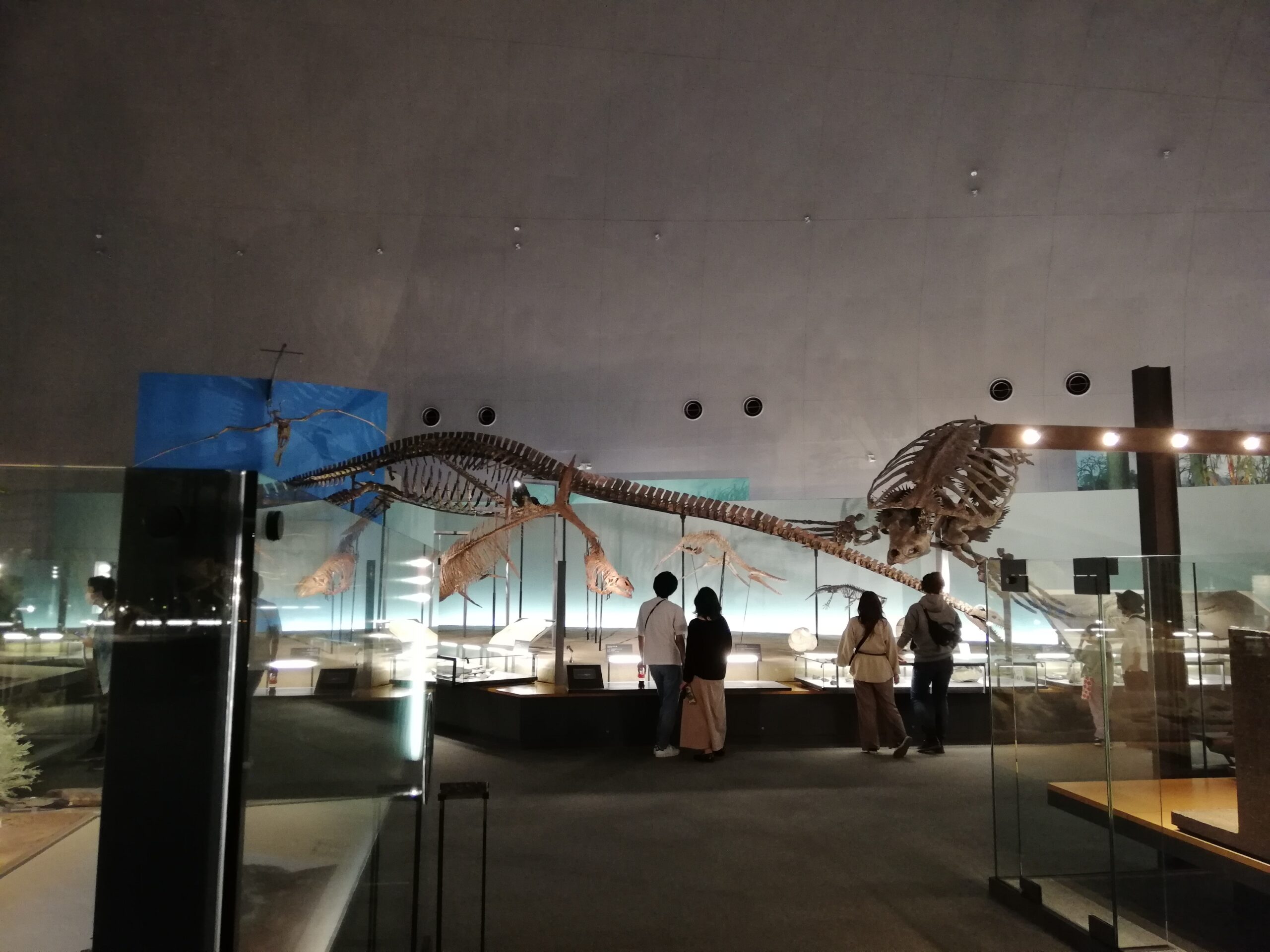 Fukui Prefectural Dinosaur Museum