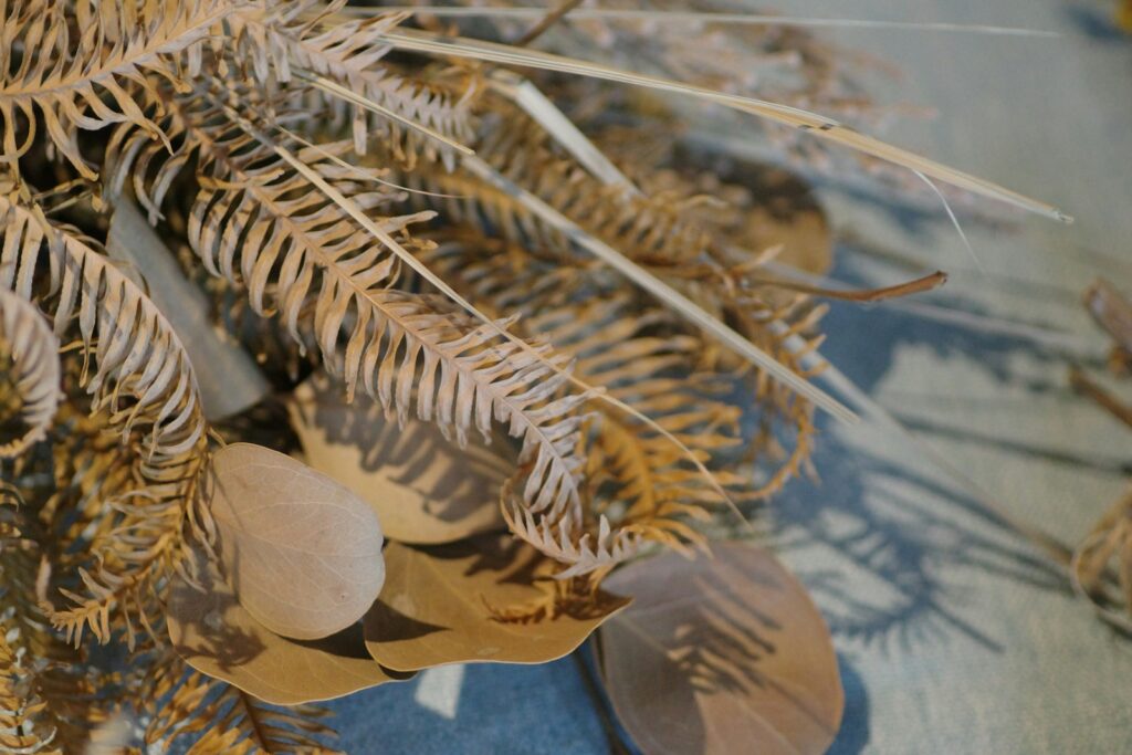 Dried leaves and feathers create a textured display.