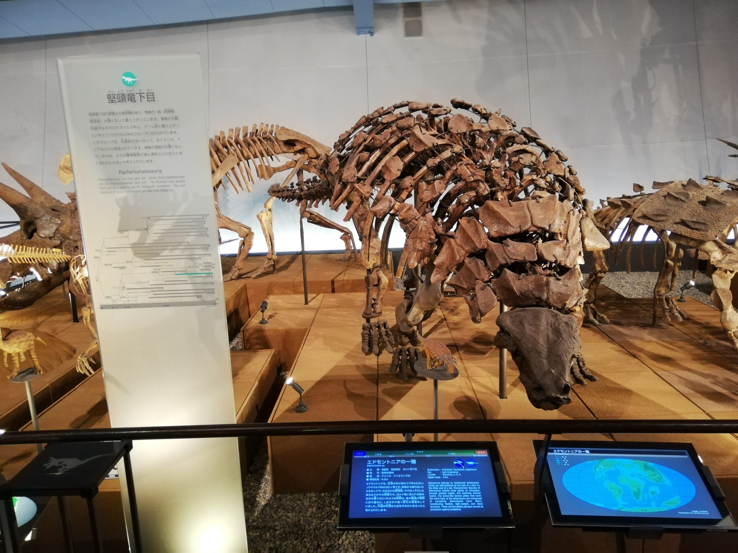 Fukui Prefectural Dinosaur Museum