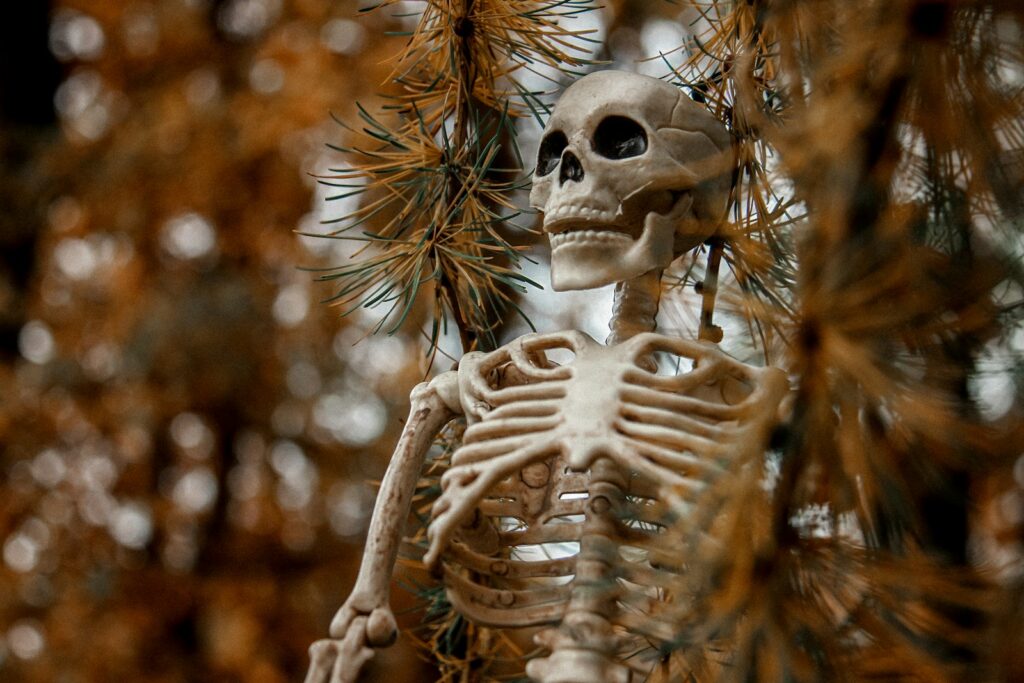 a skeleton of a human