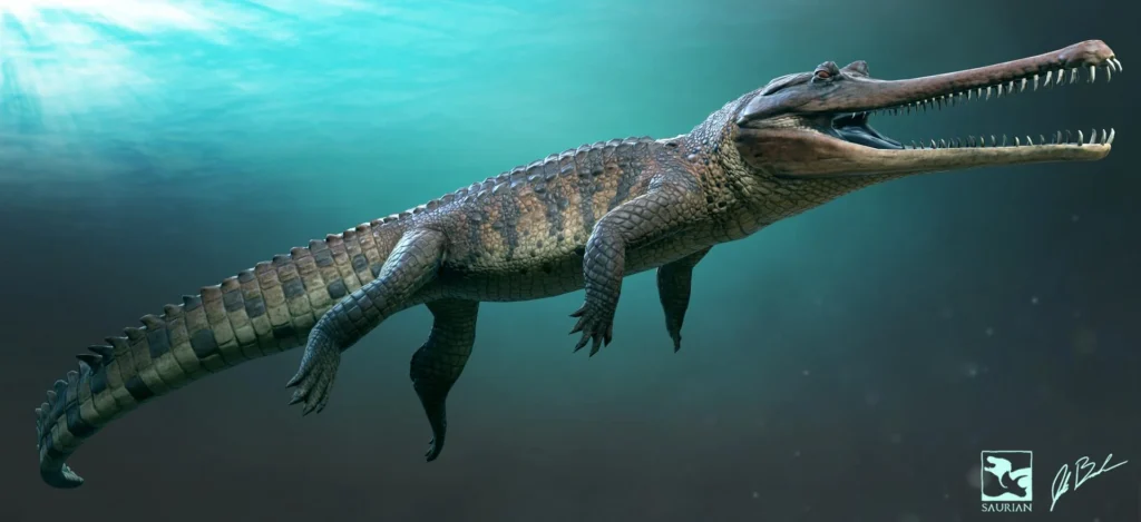 The Ultimate Freshwater Predator