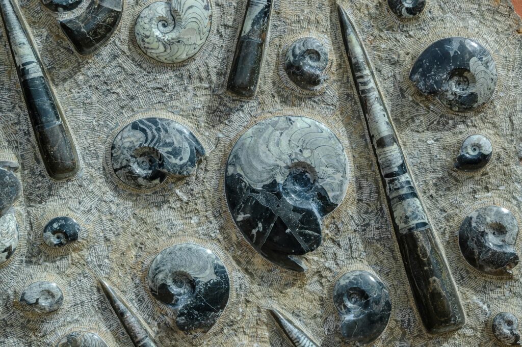 a close up of a bunch of different items on a table