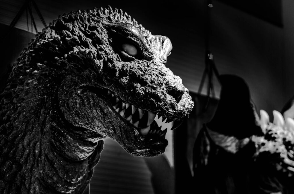 grayscale photo of animal skull