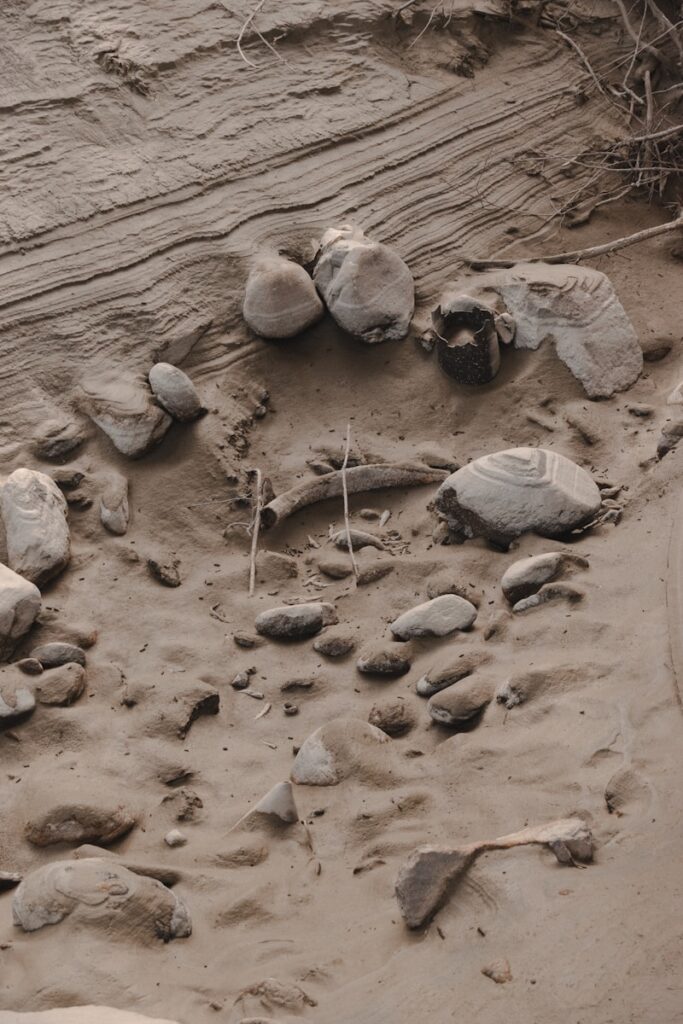 a group of rocks in the sand
