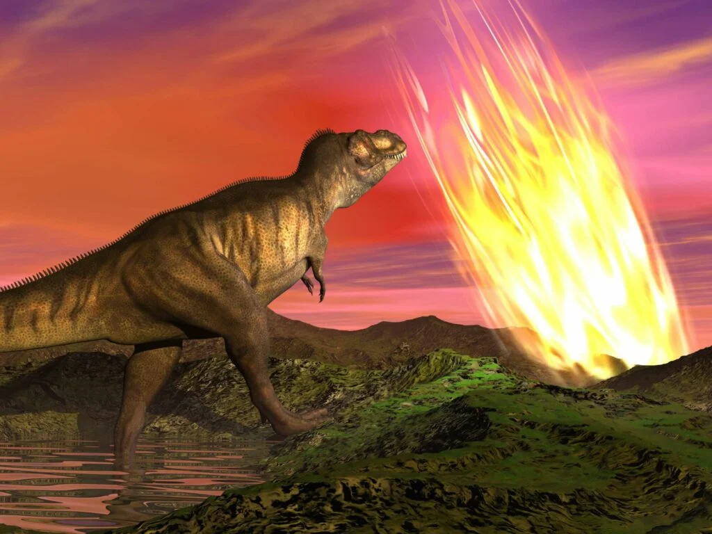 fire