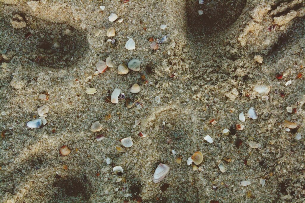 a close up of a person's footprints in the sand