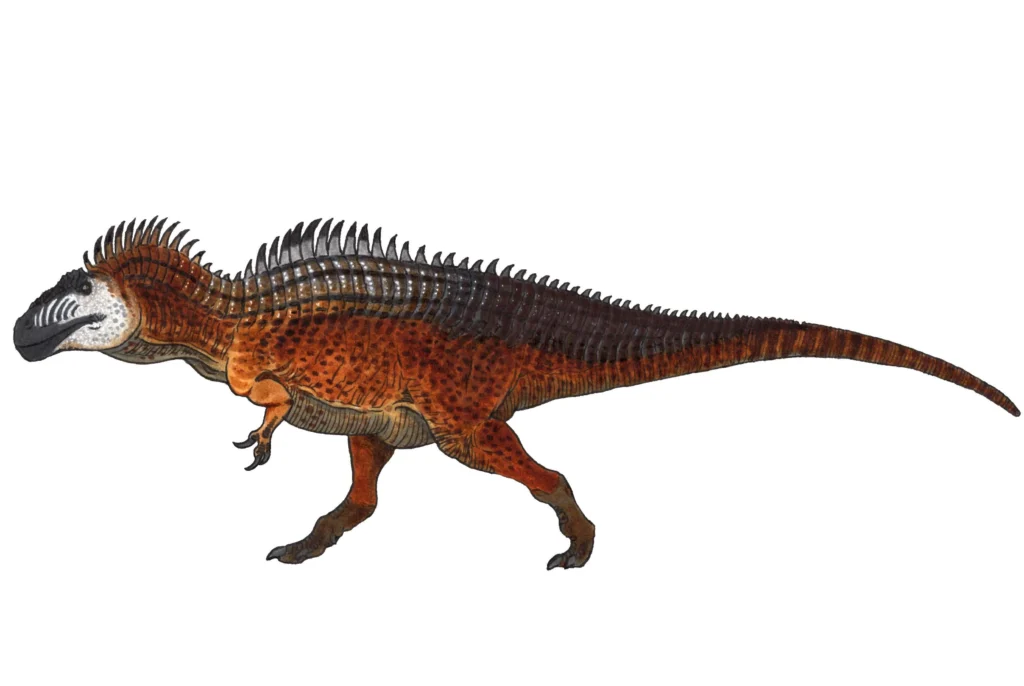 Anatomy of a Killing Machine