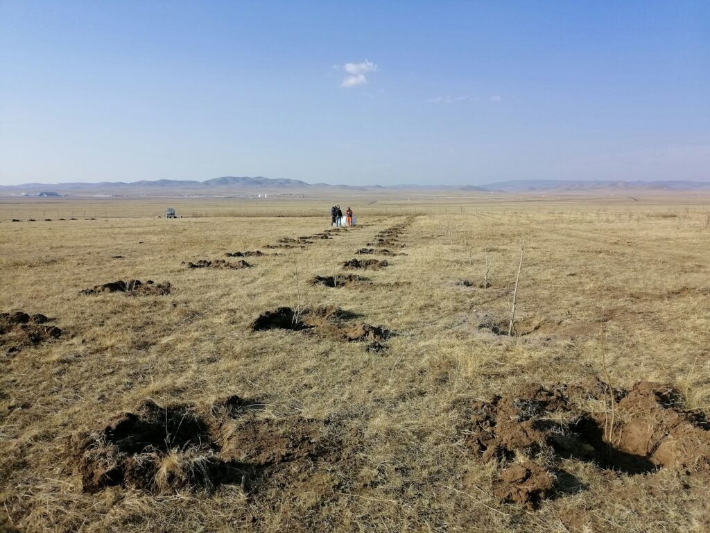 person in white shirt walking on brown grass field during daytime